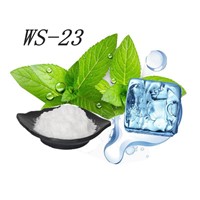 Cooling Agent Ws23/Pure Nicotine/Nicotine Salt/ Flavors