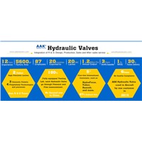 AAK Hydraulic Valve Maintenance Process Not Only Less Detours, but Also Save You More Than 30% of the Cost