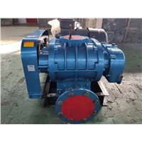 Solid &amp;amp; Durable Roots Blower for Pneumatic Conveying of Sewage Treatment