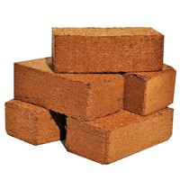Coco Peat Briquettes (Ficoco VietNam)