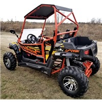 New Arrival 2021 250cc Gas Golf Cart UTV Utility Vehicle with Windshield Oversized Tires & Custom Rims/Suspension