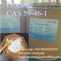 Procaine CAS 59-46-1 Supplier &amp;amp; Manufacturer In China.