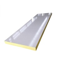 Electric Room Use Thermal Insulation XPS Sandwich Panel