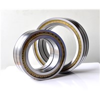 Full Complement Cylindrical Roller Bearing SL04 SL18 SL1850 Series
