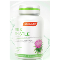 Milk Thistle Slice Essential Nutrients for Staying up Late