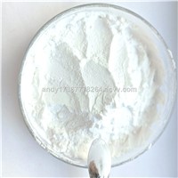 Best Price Natural 99% Chitosan Powder with CAS 9012-76-4