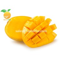 We Are Supplying Many Kinds of Mango Originally Come from Vietnam with High Quality