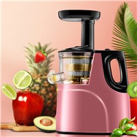 Juicer Machines 2 In 1 Slow Masticating Citrus Juicers Fruits &amp;amp; Vegetables Cold Press Juice Extractor with Antioxidant