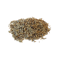 Supreme Quality Cumin Seeds ( Singapore-99 / Europe Quality)