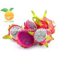 We Are Supplying Dragon Fruit Originally Come from Vietnam with High Quality