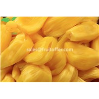 We Are Supplying Jackfruit Originally Come from Vietnam with High Quality