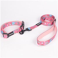 OKEYPETS Professional OEM Private Label High Density Polyester Webbing Personalized Pet Dog Collar with Leash