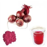 Food &amp;amp; Beverage Ingredients Red Beet Extract Powder/Red Beet Root Extract