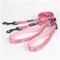 OKEYPETS Wholesale High Quality Pet Product Soft &amp;amp; Comfortable Padded Handle Strong Dog Leash For Running