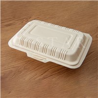Disposable Biodegradable Food Containers Corn Starch Takeaway Food Containers