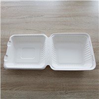 Biodegradable Single Use Large Capacity Food Containers