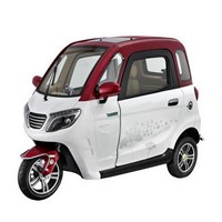 Factory Direct Sale 3 Wheel Electric Tricycles for Passenger