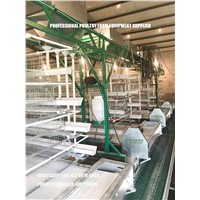 Chicken Cages for Sale, Battery Chciken Cage, Layer Chicken Cage