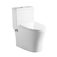 High Quality Sanitary Ware Ceramic Washdown One Piece Bidet Toilet Wc for Home Bathroom