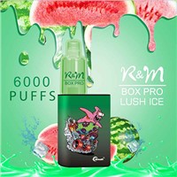 R&amp;amp;M Box Pro 6000 Puffs Disposable Vape Disposable Vape Wholesale Vapes