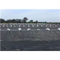 0.35 Mm Virgin Material HDPE Ldpe Geomembrane for Fish Shrimp Pond Liners Construction