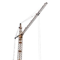 TCL80 3520 Construction Building Luffing Tower Crane