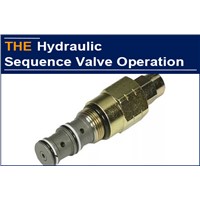 Better Quality but Cheaper Price, of Course, AAK Hydraulic Sequence Valve Is Selected, &amp;amp; American Customer Passed His