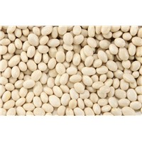 Pearl Bean/White Kidney Bean/White Beans