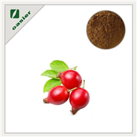 Our Nuture Bulk Rosehip Extract Powder