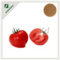 BUIK Tomato Fruit Extract Manufacturer of Plant Extracts