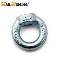 Carbon Steel Forged Galvanized Lifting DIN Eye Bolt &amp;amp; Nut