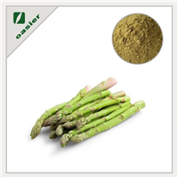 Asparagus Extract Powder 10%, 20%, 30% Total Saponins