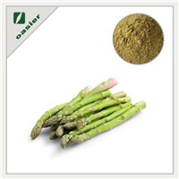 Best Quality Asparagus Extract Powder