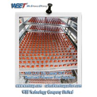 WEET WFA CL21 Dip Coated MKT Metallized Polyester Film Capacitor