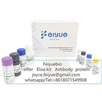 Human GABA(Gamma-Aminobutyric Acid) ELISA Kit