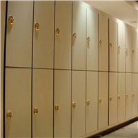 Customized Hpl Changing Room Single-Door 12mm Hpl Lockers Made In China