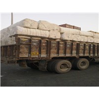 Indian Origin of Raw Cotton DCH-32