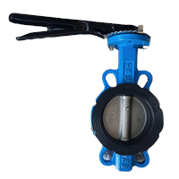 Wafer Butterfly Valve PN16 Cast Iron Lining Rubber CF8 Disc Butterfly Valve Lever