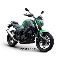 Racing Motorcycle RZM250T Used 150cc &amp;amp; 200cc &amp;amp; 250cc Or 400cc Engines