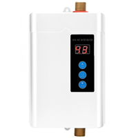 Digital Electric Water Heater Remote Control Instantaneous Tankless Water Heater for Kitchen Bathroom