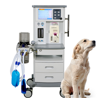 DM6A Veterinary Surgical Gas Anesthesia Machine