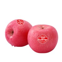 Fuji Apple Red Wholesale Fresh 2022 Yantai Farm Good Price