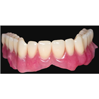 Realistic Digital Data OEM 3D Printed Dental Models for Dentist Study