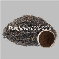 Theaflavin 20%-98% PU'Er Tea Extract Natural Extract Raw Material Powder