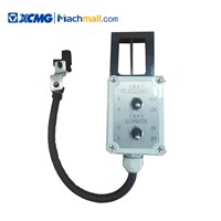 XCMG Spare Parts Leg Throttle Assembly*803687644 Parts for Auto Crane Price for Sale