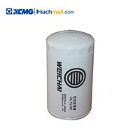 XCMG Crane Lifting Equipment Spare Parts Oil Filter Element*860501059 Price List