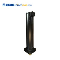 XCMG Officially Guarantees Crane Spare Parts Fifth Leg Cylinder 135800891/137800050/803002719/135603604 for Sale