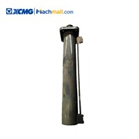 XCMG Best Price Truck Crane Spare Parts Price Front Vertical Cylinder 130700031/134901057/137901527 for Sale