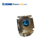 XCMG Mobile Truck Crane Spare Parts Oil Pump(Right-Handed)*803000260 Low Price for Sale