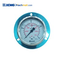XCMG Luffing Tower Crane Spare Parts Pressure Gauge 40MPa YN60-III. 803500383 for Sale